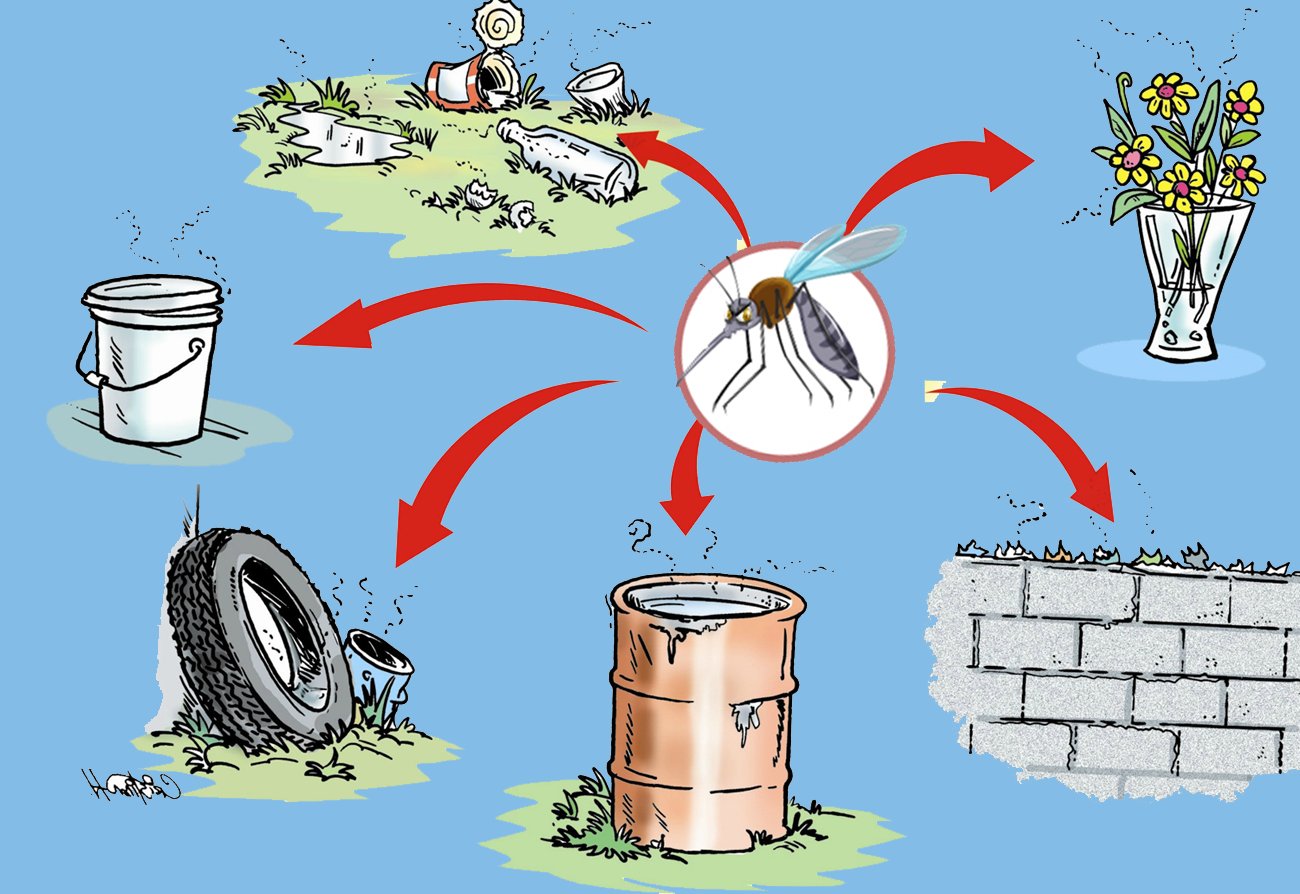 Các biện pháp đảm bảo vệ sinh môi trường sau mưa bão