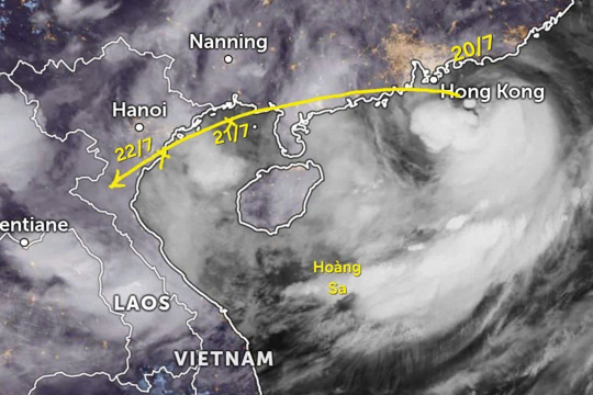 Công văn của Sở Nông nghiệp và Môi trường tỉnh Ninh Bình: Tập trung chỉ đạo sản xuất trồng trọt ứng phó cơn bão số 3 năm 2025