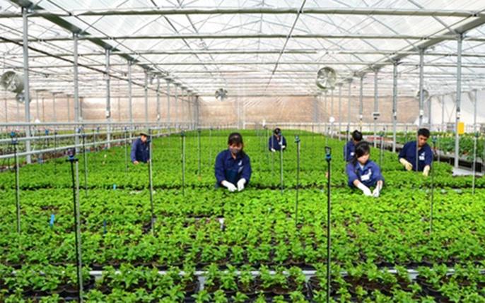 Tổ chức tuyển chọn bổ sung lao động đi làm việc thời vụ tại Hàn Quốc năm 2025